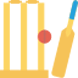 cricket